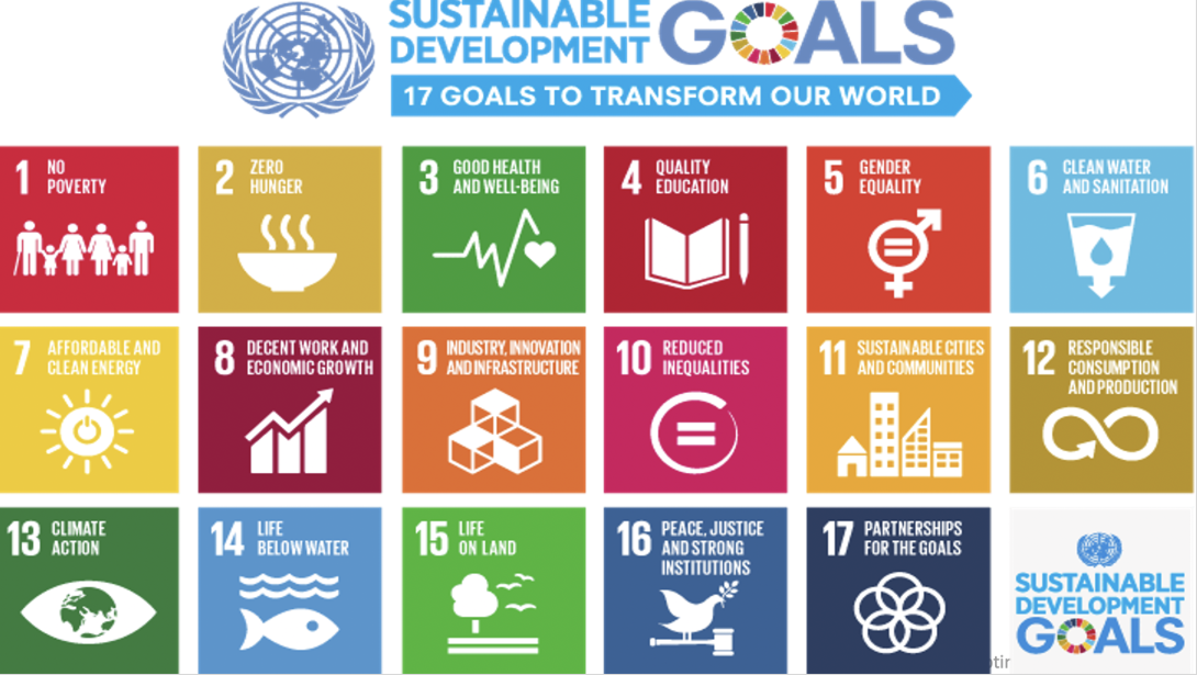 17 UN SDGs
